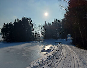 Bayerischer Wald